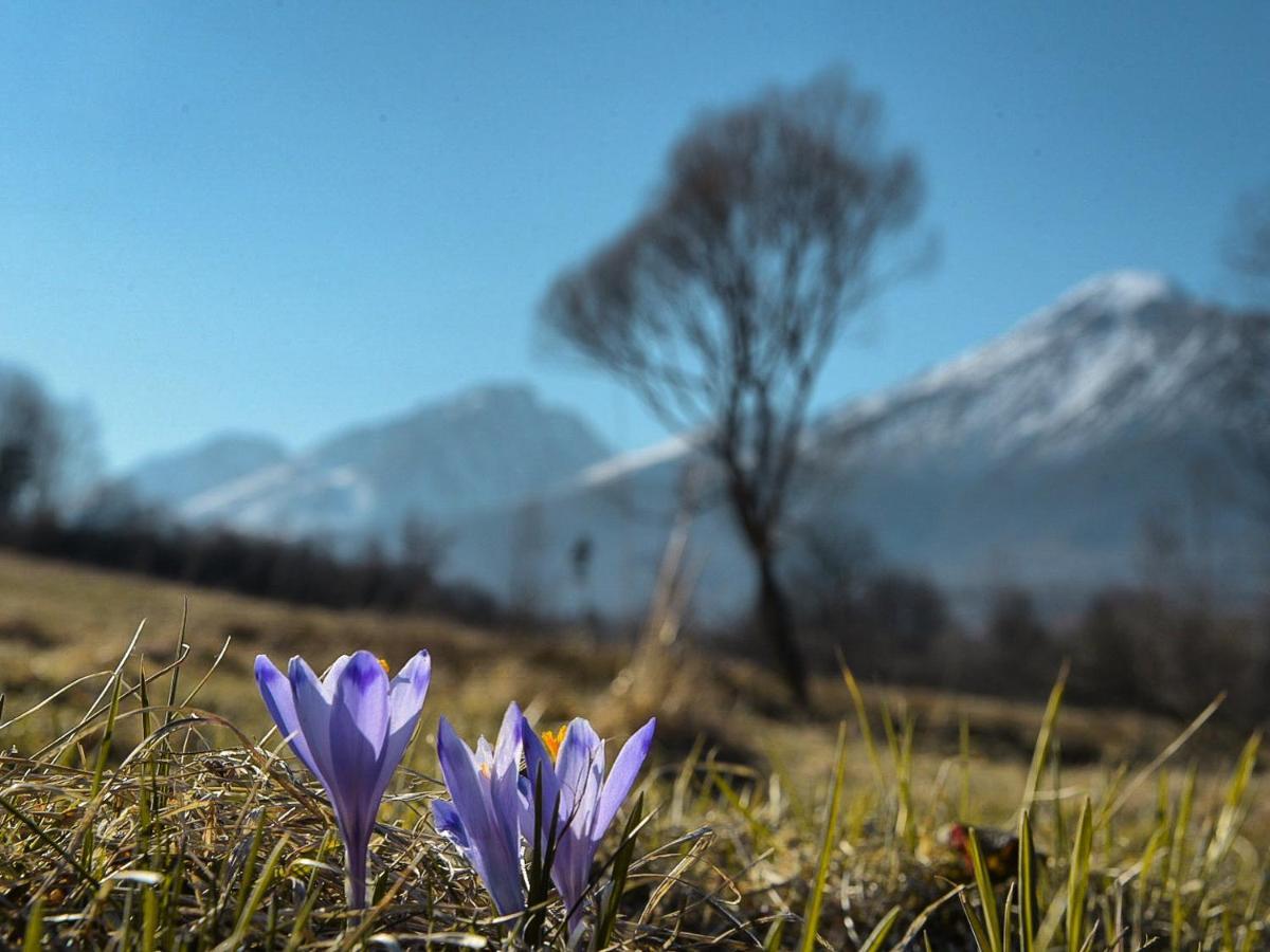 Villa Felicity Nová Lesná Dış mekan fotoğraf
